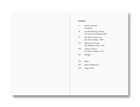 Terra Infecta: Disease and the Italian Landscape