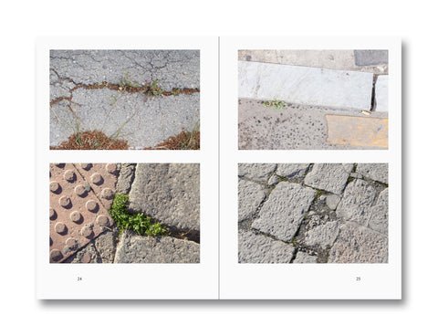 Weeds: A Germinating Theory