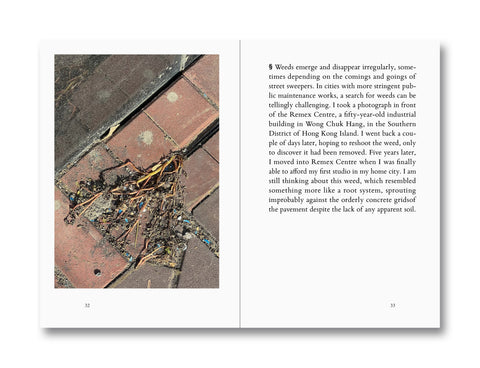 Weeds: A Germinating Theory