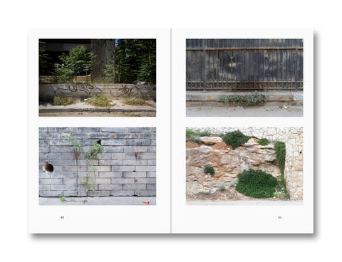 Weeds: A Germinating Theory