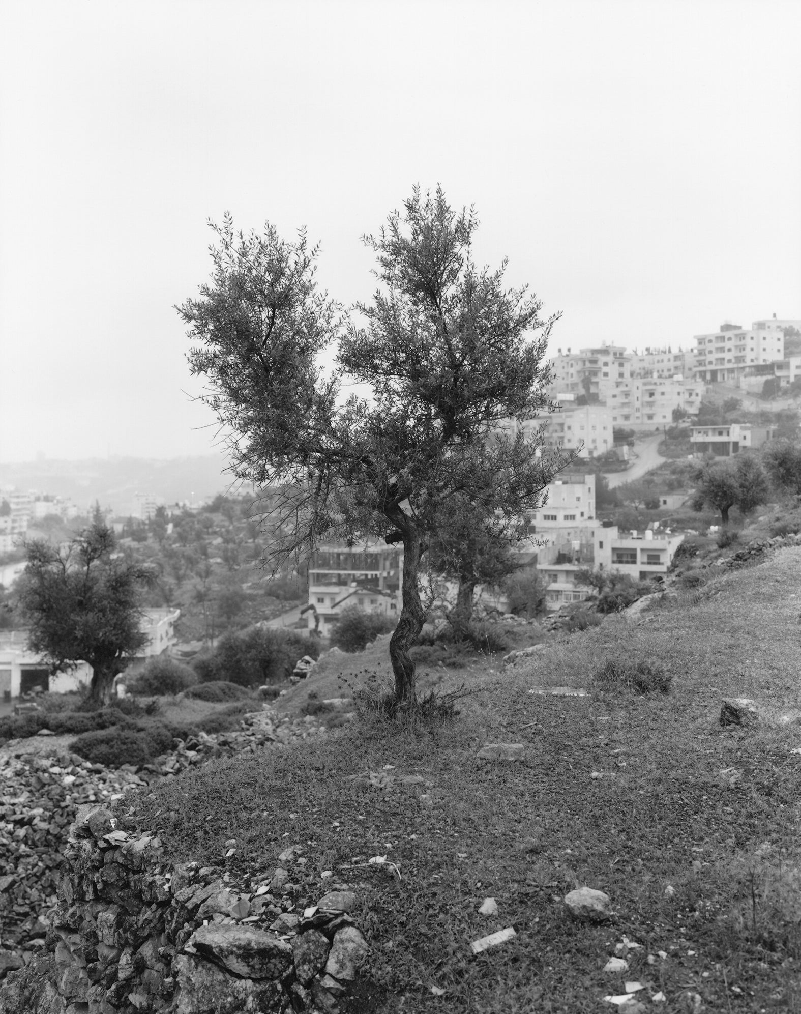 Adam Broomberg & Issa Amro: ‘Anchor in the Landscape’ [Book launch & t ...