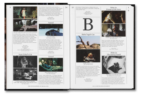 Close-up of a tabby cat from "The Encyclopedia of Movie Cats" by A24, showcasing a feline character on screen.
