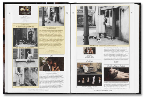 A book titled "The Encyclopedia of Movie Cats" by A24, featuring a colorful cover with illustrated feline characters.