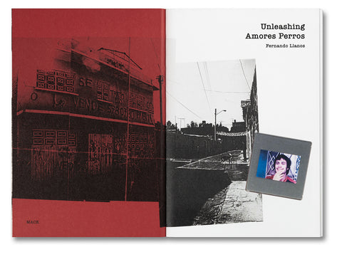 Unleashing Amores Perros