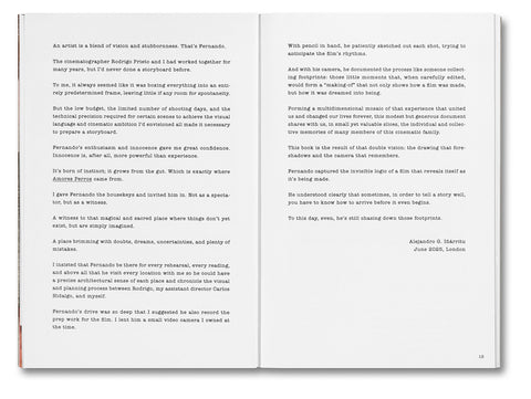 Unleashing Amores Perros