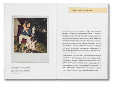 Desatar Amores Perros