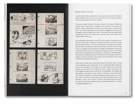 Unleashing Amores Perros