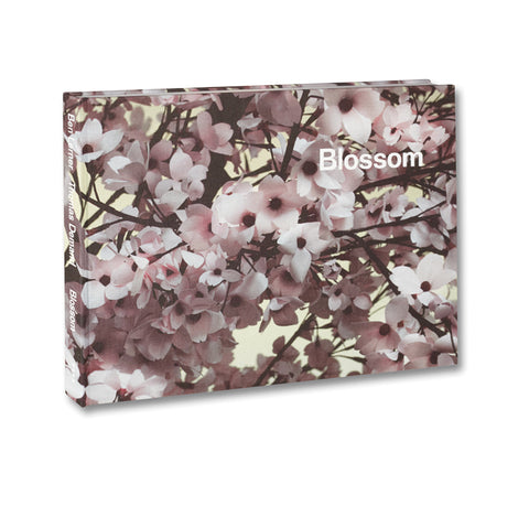 Blossom