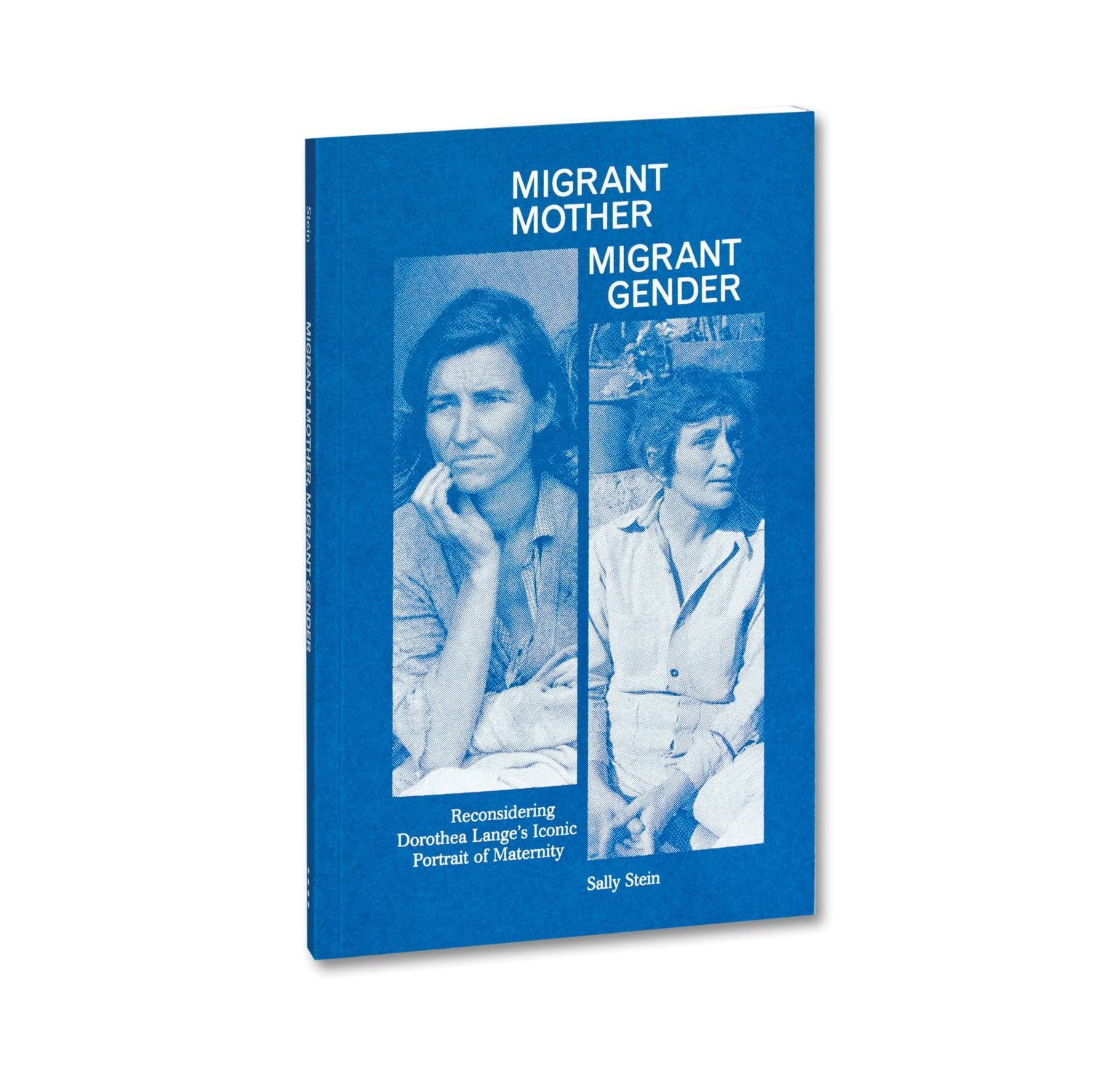 Image for Migrant Mother, Migrant Gender