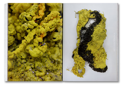 Dirty Looks: Desire and Decay in Fashion