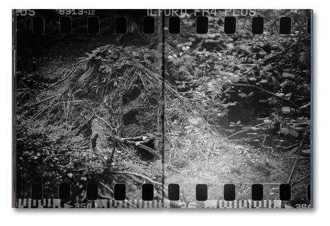 Even as a Shadow, Even as a Dream