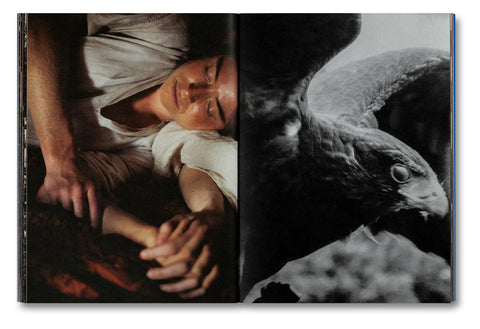 Even as a Shadow, Even as a Dream