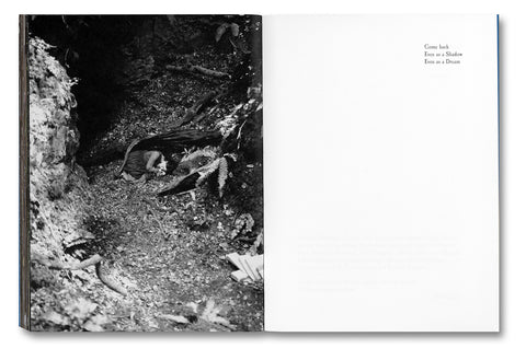 Even as a Shadow, Even as a Dream