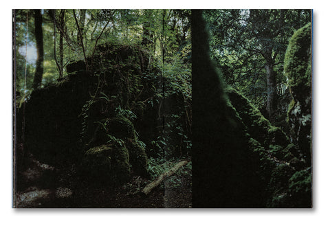 Even as a Shadow, Even as a Dream