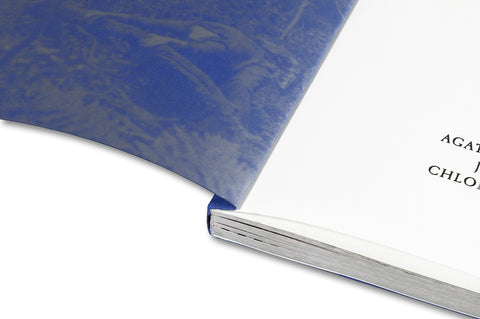 Even as a Shadow, Even as a Dream