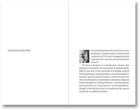 Case by Case: Psychoanalysis and the Political