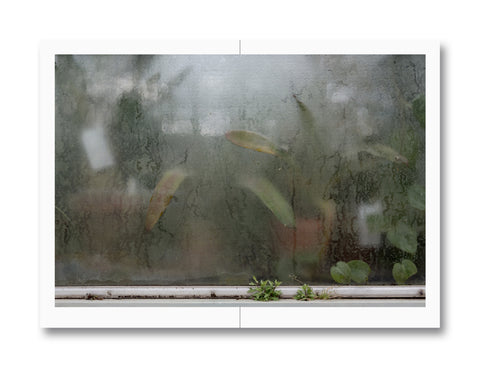 Weeds: A Germinating Theory