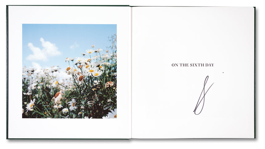 On the Sixth Day <br> Alessandra Sanguinetti