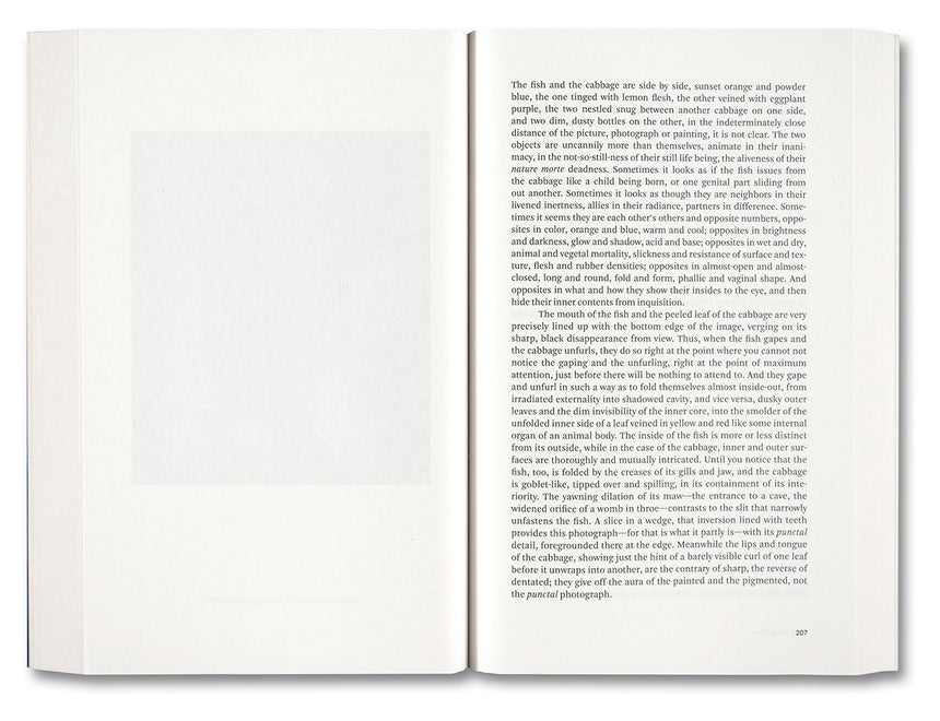 Painting Photography Painting: Selected Essays <br> Carol Armstrong