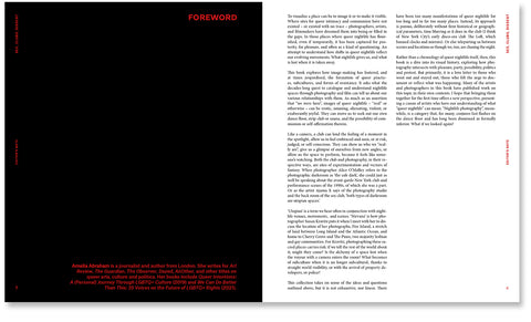 Sex, Clubs, Dissent: Visualising Queer Nightlife