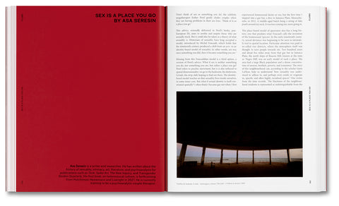 Sex, Clubs, Dissent: Visualising Queer Nightlife