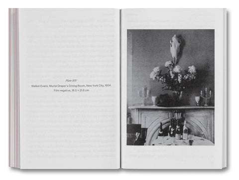 The Devouring Eye: Photography and the Mouth