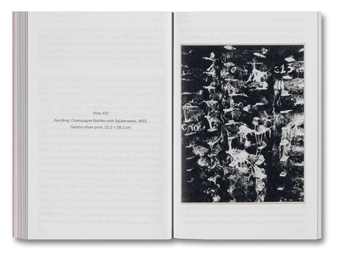 The Devouring Eye: Photography and the Mouth