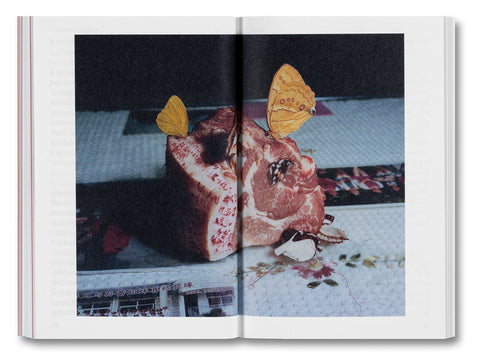 The Devouring Eye: Photography and the Mouth