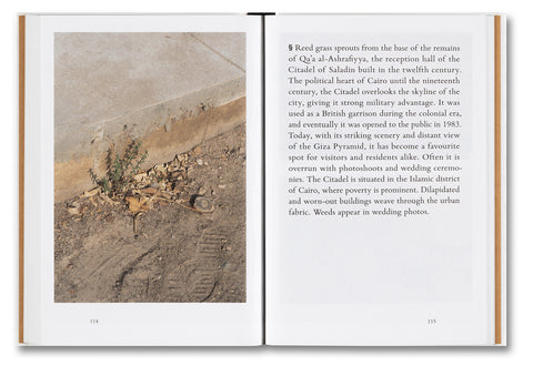 Weeds: A Germinating Theory