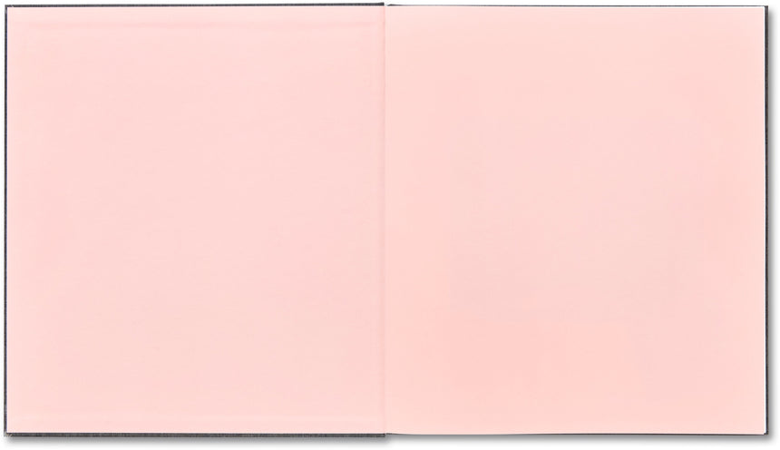 I Know How Furiously Your Heart Is Beating (Second Printing) <br> Alec Soth