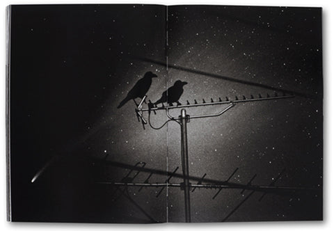 The Last Cosmology  Kikuji Kawada - MACK