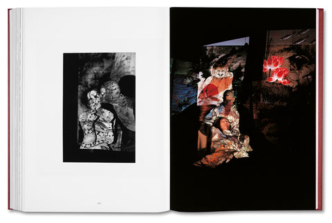 Eikoh Hosoe (Japanese edition) / Yasufumi Nakamori (ed.)