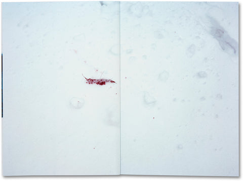 Trails  Takashi Homma - MACK