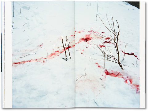 Trails  Takashi Homma - MACK