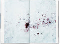 Trails <br> Takashi Homma - MACK