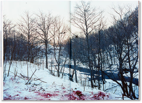 Trails  Takashi Homma - MACK