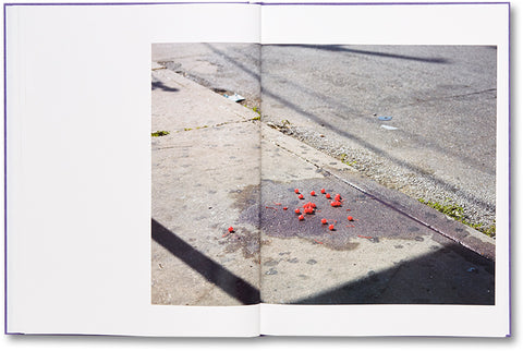 a shimmer of possibility  Paul Graham - MACK